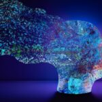 Perception vs Reality